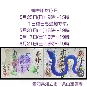 一条山宝蓮寺の御朱印 2025年05月25日(日)〜(2025年05月25日(日) 11時10分26秒投稿)