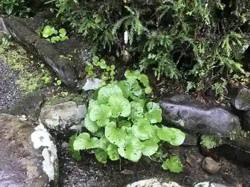 清水神社の庭園