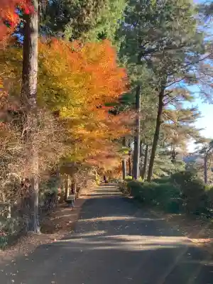 塩船観音寺(東京都)