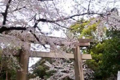 上野東照宮の鳥居