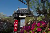 法雲寺の山門・神門