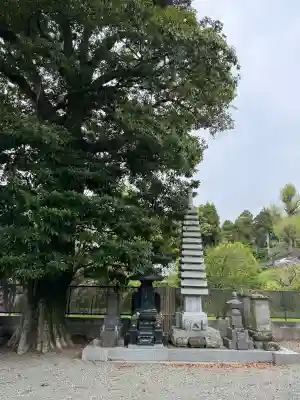 御塔生福寺の{uncategorized: "未分類", other: "その他", undefined: "問題あり", building: "その他建物", grave: "お墓", sacred_gate: "鳥居", guardian: "狛犬", statue: "像", buddha: "仏像", history: "歴史", nature: "自然", garden: "庭園", animal: "動物", pagoda: "塔", temizu: "手水舎", mountain_gate: "山門・神門", sanctuary: "本殿・本堂", subordinate: "末社・摂社", art: "芸術", scenery: "景色", jizo: "地蔵", ema: "絵馬", goshuin: "御朱印", omikuji: "おみくじ", items: "授与品その他", amulet: "お守り", goshuincho: "御朱印帳", eats: "食事", festival: "お祭り", votive_dance: "神楽", shichigosan: "七五三参", wedding: "結婚式", experience: "体験その他", initially: "初詣", around: "周辺", anti_infection: "感染症対策"}
