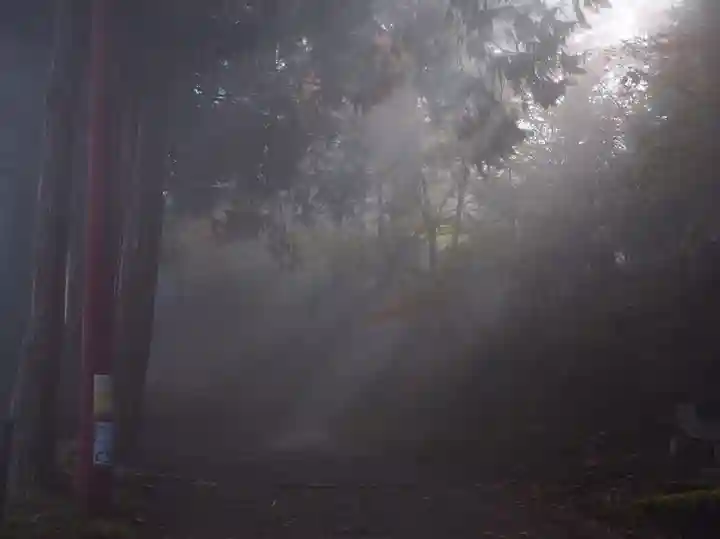 七面山敬慎院の自然