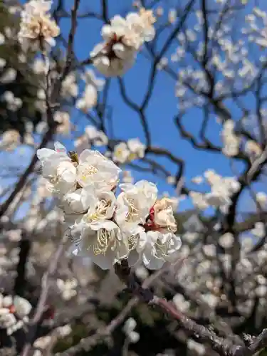福蔵院(東京都)