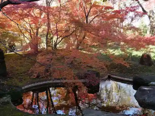 淨眞寺の庭園