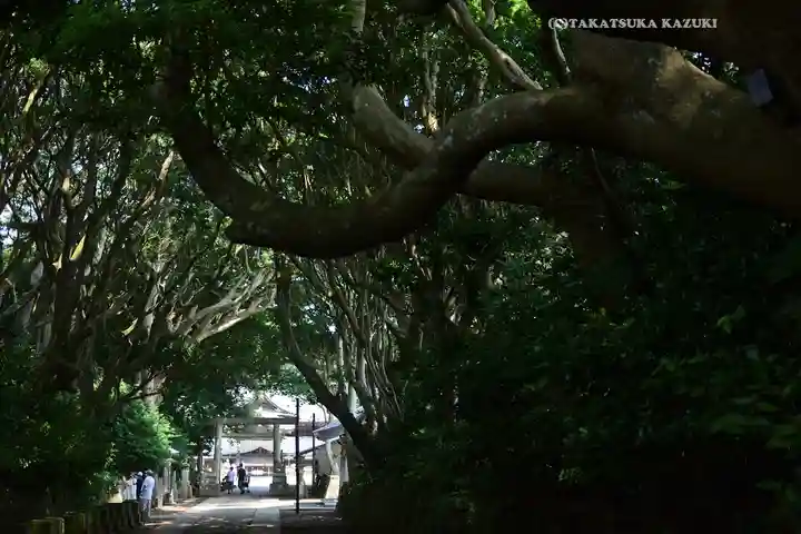 酒列磯前神社(茨城県)