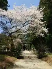 那須神社の鳥居