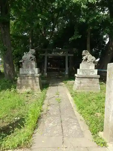 劔神社の狛犬