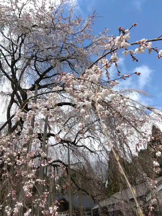 足羽神社(福井県)