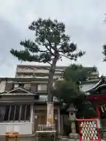 蒔田杉山神社(神奈川県)