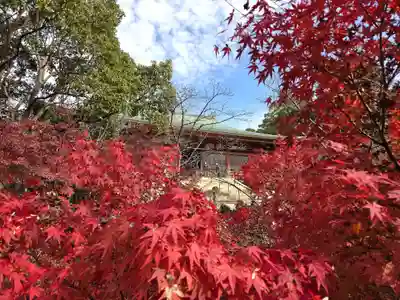 太山寺(兵庫県)