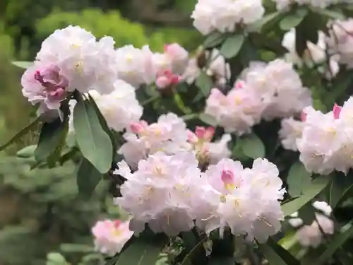 木舟山　順教寺(広島県)