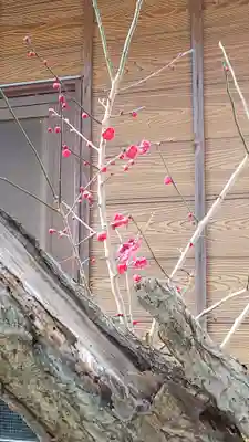 大宮・大原神社(千葉県)