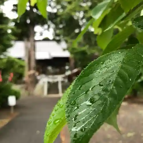 高司神社〜むすびの神の鎮まる社〜(福島県)