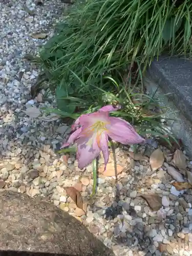 三輪神社の自然