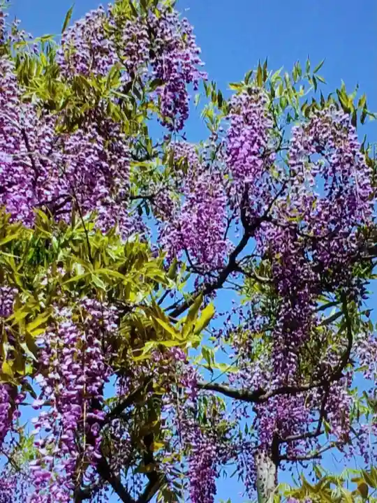 國領神社(東京都)