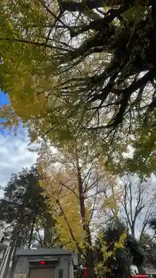 鳩森八幡神社(東京都)