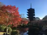 東寺(教王護国寺)の庭園