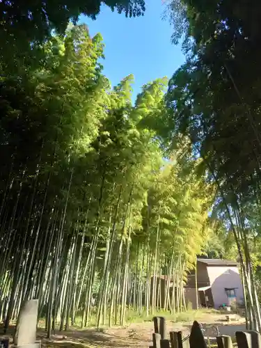 香林寺(神奈川県)