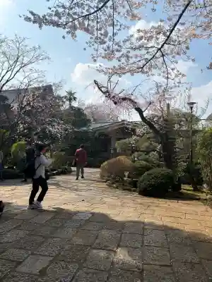 龍雲寺の{uncategorized: "未分類", other: "その他", undefined: "問題あり", building: "その他建物", grave: "お墓", sacred_gate: "鳥居", guardian: "狛犬", statue: "像", buddha: "仏像", history: "歴史", nature: "自然", garden: "庭園", animal: "動物", pagoda: "塔", temizu: "手水舎", mountain_gate: "山門・神門", sanctuary: "本殿・本堂", subordinate: "末社・摂社", art: "芸術", scenery: "景色", jizo: "地蔵", ema: "絵馬", goshuin: "御朱印", omikuji: "おみくじ", items: "授与品その他", amulet: "お守り", goshuincho: "御朱印帳", eats: "食事", festival: "お祭り", votive_dance: "神楽", shichigosan: "七五三参", wedding: "結婚式", experience: "体験その他", initially: "初詣", around: "周辺", anti_infection: "感染症対策"}