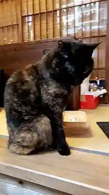 五十稲荷神社(栄寿稲荷神社)(東京都)