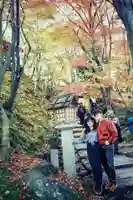 常寂光寺(京都府)