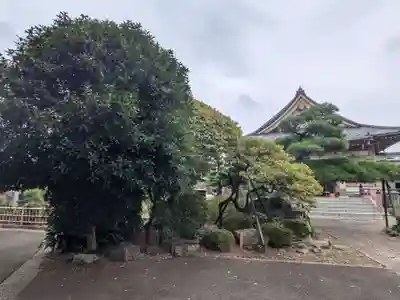 永寿院(東京都)