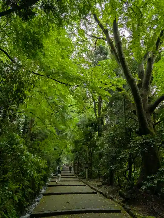 白山比咩神社の{uncategorized: "未分類", other: "その他", undefined: "問題あり", building: "その他建物", grave: "お墓", sacred_gate: "鳥居", guardian: "狛犬", statue: "像", buddha: "仏像", history: "歴史", nature: "自然", garden: "庭園", animal: "動物", pagoda: "塔", temizu: "手水舎", mountain_gate: "山門・神門", sanctuary: "本殿・本堂", subordinate: "末社・摂社", art: "芸術", scenery: "景色", jizo: "地蔵", ema: "絵馬", goshuin: "御朱印", omikuji: "おみくじ", items: "授与品その他", amulet: "お守り", goshuincho: "御朱印帳", eats: "食事", festival: "お祭り", votive_dance: "神楽", shichigosan: "七五三参", wedding: "結婚式", experience: "体験その他", initially: "初詣", around: "周辺", anti_infection: "感染症対策"}