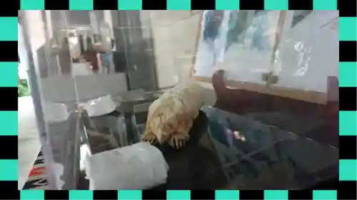 下野 星宮神社(栃木県)