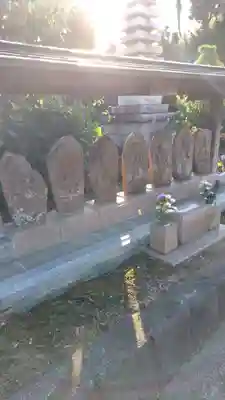 紫雲寺(神奈川県)