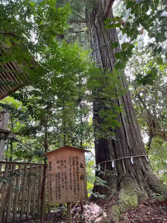 須佐神社の自然