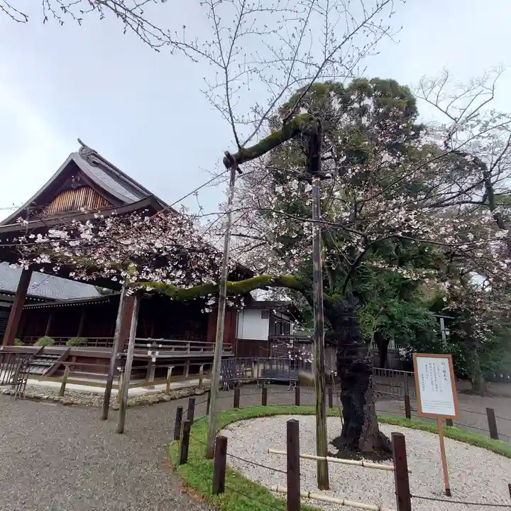 靖國神社(東京都)