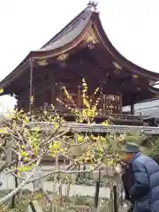 沙沙貴神社の自然