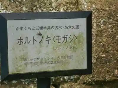 諏訪神社のその他建物