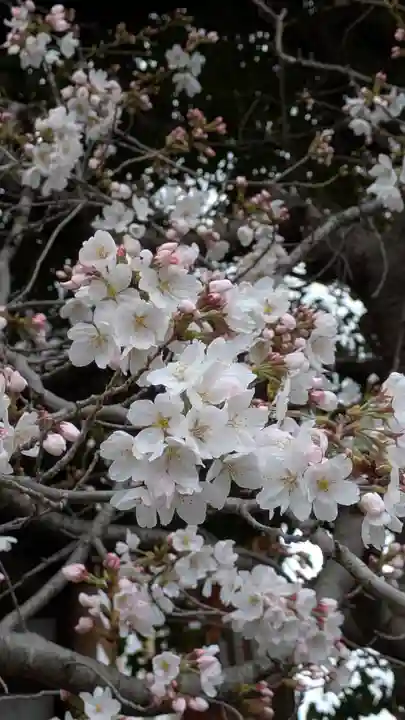 後白河院御聖蹟 法住寺(京都府)