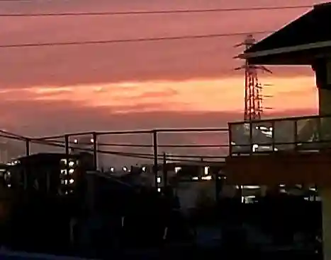 葛飾氷川神社(東京都)