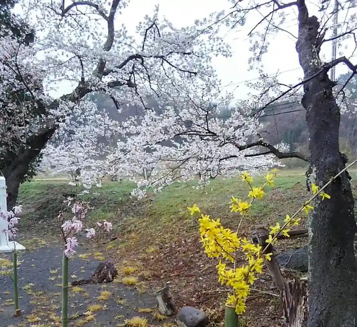 高司神社〜むすびの神の鎮まる社〜の自然