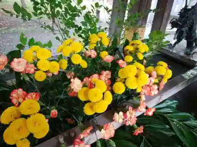 彌彦神社　(伊夜日子神社)の手水舎