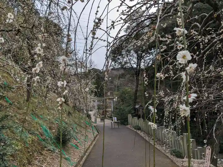 大縣神社(愛知県)