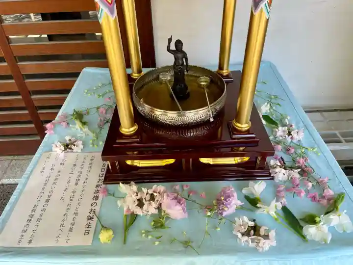 明治寺の{uncategorized: "未分類", other: "その他", undefined: "問題あり", building: "その他建物", grave: "お墓", sacred_gate: "鳥居", guardian: "狛犬", statue: "像", buddha: "仏像", history: "歴史", nature: "自然", garden: "庭園", animal: "動物", pagoda: "塔", temizu: "手水舎", mountain_gate: "山門・神門", sanctuary: "本殿・本堂", subordinate: "末社・摂社", art: "芸術", scenery: "景色", jizo: "地蔵", ema: "絵馬", goshuin: "御朱印", omikuji: "おみくじ", items: "授与品その他", amulet: "お守り", goshuincho: "御朱印帳", eats: "食事", festival: "お祭り", votive_dance: "神楽", shichigosan: "七五三参", wedding: "結婚式", experience: "体験その他", initially: "初詣", around: "周辺", anti_infection: "感染症対策"}