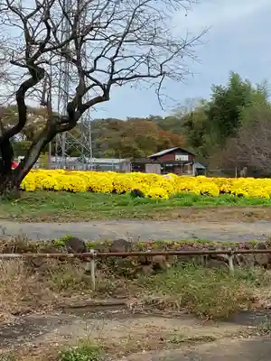 長谷寺(神奈川県)