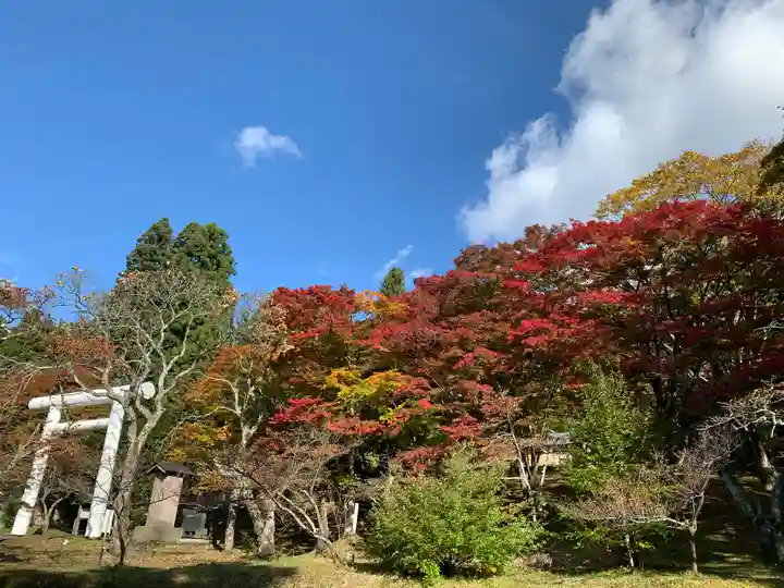 土津神社|こどもと出世の神さまの自然