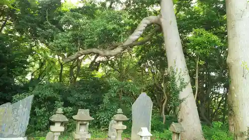 佐波波地祇神社の自然