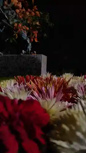 木幡山隠津島神社(二本松市)(福島県)