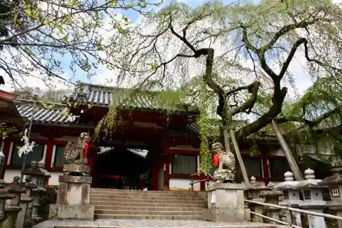 氷室神社の本殿