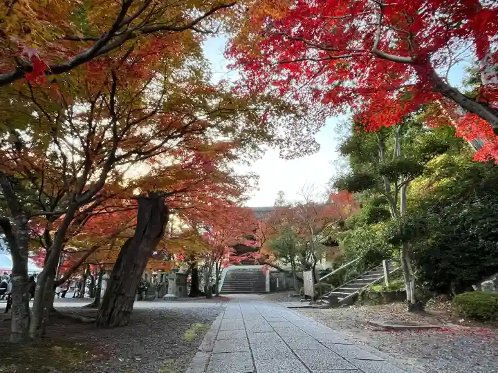 光明寺(粟生光明寺)(京都府)