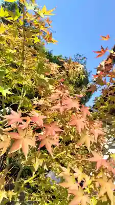 霊源院(京都府)