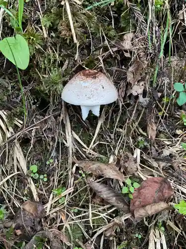 平勝寺(愛知県)