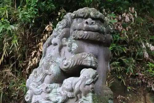 阿久津「田村神社」（郡山市阿久津町）旧社名：伊豆箱根三嶋三社の狛犬