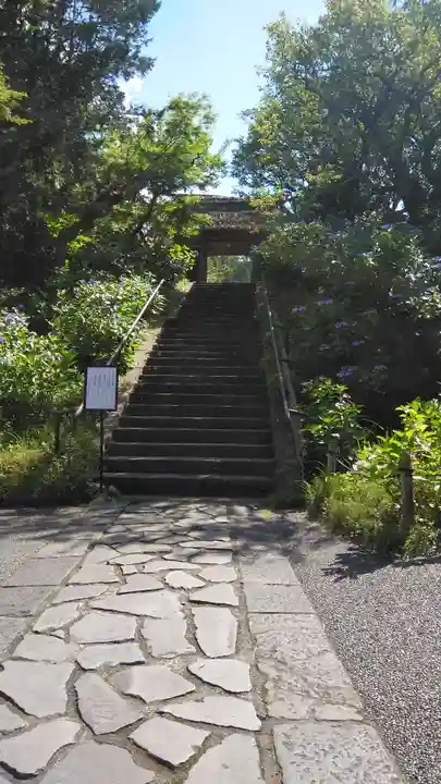 東慶寺(神奈川県)